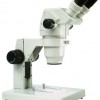 GL99B体视显微镜