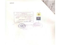 专业办理埃及产地证加签图1