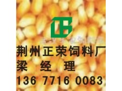 正荣▆█现金█▆求购大豆喷浆玉米皮玉米大麦菜粕等粮食产品图1