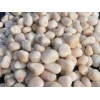供应优质鹅卵石滤料欢迎广大客户采购2011给力厂家