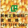 ★求购玉米