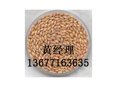 正荣【【现款求购】】玉米小麦麸皮高录像等饲料原料图1