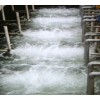 污水水处理设备供应