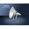 超强防震型投光灯--温州恒盛照明有限公司