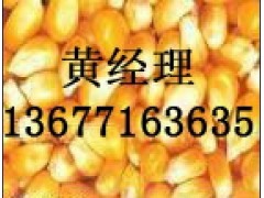 正荣【【现款求购】】玉米小麦麸皮酒糟粉高梁等饲料原料图1