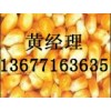 正荣【【现款求购】】玉米小麦麸皮酒糟粉高梁等饲料原料