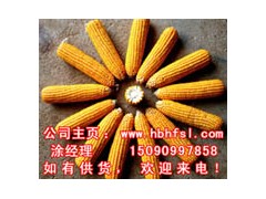 【宏发饲料厂】求购玉米小麦玉米皮麸皮等农产品图1