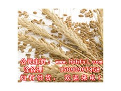 鄂州宏发饲料求购玉米小麦玉米皮图1