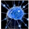 忆触记发全脑开发右脑开发记忆力培训研发基地