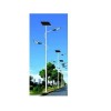 甘南太阳能路灯：优秀的太阳能路灯提供商，当选高亚灯饰