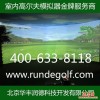 模拟高尔夫厂家供应润德 其他高尔夫用品 模拟高尔夫用品 室内高尔夫 模拟高尔夫 高尔夫模拟器