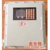 供应YN3000电子皮带秤防爆控制仪表