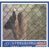 江苏徐州【球场护栏网】低碳钢丝围栏网|草坪护栏网|养殖用网