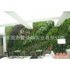直销多肉植物  植物墙工艺品生产 绿化植物墙 仿真景观园林