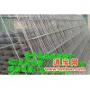 森谷优质电焊网片 300丝黑网片 建筑用网 镀锌电焊网片