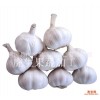批量出口金乡精选纯白大蒜250g china garlic