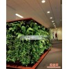 仿真花立体绿化，垂直墙面绿化，人造垂直绿化绿植墙，