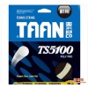正品TAAN泰昂网球拍线 TS5100高弹耐打攻击型硬线