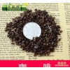 批发咖啡种子 咖啡豆种子 林木种 子咖啡树种子 包发芽