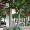 高仿真弯杆椰子树广场酒店街道园林公园别墅绿化带专业低价定制