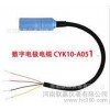 CYK10-A051德国E+H  PH计数字电极电缆