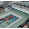 畅销 海南 中小型企业彩印加工设备 PU印花机皮革 高清彩印