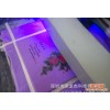 UV平板打印机支持PU皮革 鼠标垫金属片手机彩印 卡套印制创