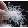 出口美标90%白 鸭绒 朵朵绒 合肥羽绒厂家批发  羽绒制品