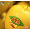 水果标签 可移不干胶标签 水果可重贴标签 彩色可移水果贴纸