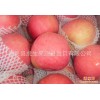 大量出口100-125 陕西红富士苹果 冷库保鲜 价格优惠