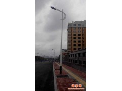 供应道路照明灯杆系统 太阳能路灯图1