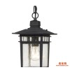 28007 Cove Neck One Light Hang