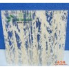 优质透光板夹天然植物类E-909 北京热销透光板
