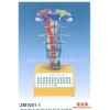 ZM1001-1 中枢神经传导电动模型医学模型