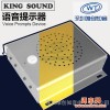 高贵金属外壳 语音提示器-KingSound  供应土豪金尊贵银绅士灰3种颜色