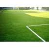 蚌埠足球场专业草坪种植|蚌埠足球场专业草坪【绿化靠大家】