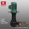 台湾耐高温立式泵领导品牌 东莞国宝耐高温立式泵