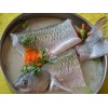 肇慶美食文慶鯉價格——價格合理的肇慶美食文慶鯉哪里有供應