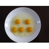 农家土鸡蛋价格范围_品质好的农家土鸡蛋供应尽在六兄弟土鸡农场