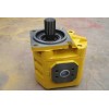 黑龙江铲车齿轮油泵——优质的铲车齿轮油泵供应信息
