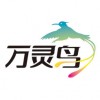 可信赖的网站推广优化主选万灵鸟信息技术公司|网站优化价格