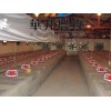 华邦农牧机械公司供应高质量的热风炉风带_养鸡设备厂华邦热风带