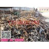 天河高价回收废旧不锈钢13556031780诚实物资回收公司
