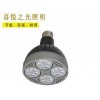 价位合理的led灯球泡：性价比高的供应LED轨道射灯PAR30泡（白色）肇庆哪里有