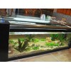 昌乐生态鱼缸——新品生态鱼缸由美家乐工贸公司提供