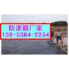 株洲河道污水*堤坝水处理防渗膜图片价格
