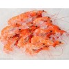 好的青虾新发市场东海渔行供应：安全的虾
