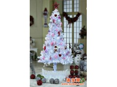 圣诞圣诞树厂家直销圣诞树大型圣诞树LED/积雪/松针图1