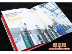 广东东莞高埗画册设计公司提供高埗视觉画册设计,高埗宣传页设计公司图1
