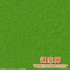 台湾青低价优质绿化台湾青草皮